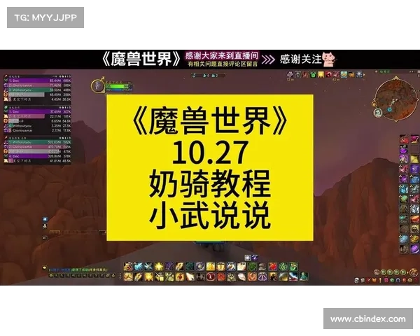 魔兽世界奶骑攻略：战场中的无敌支援
